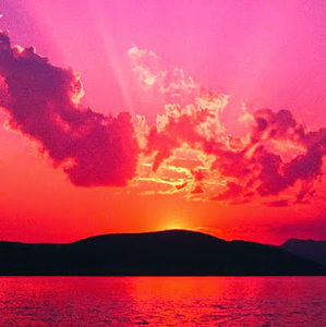 Meet your Posher, Isabel